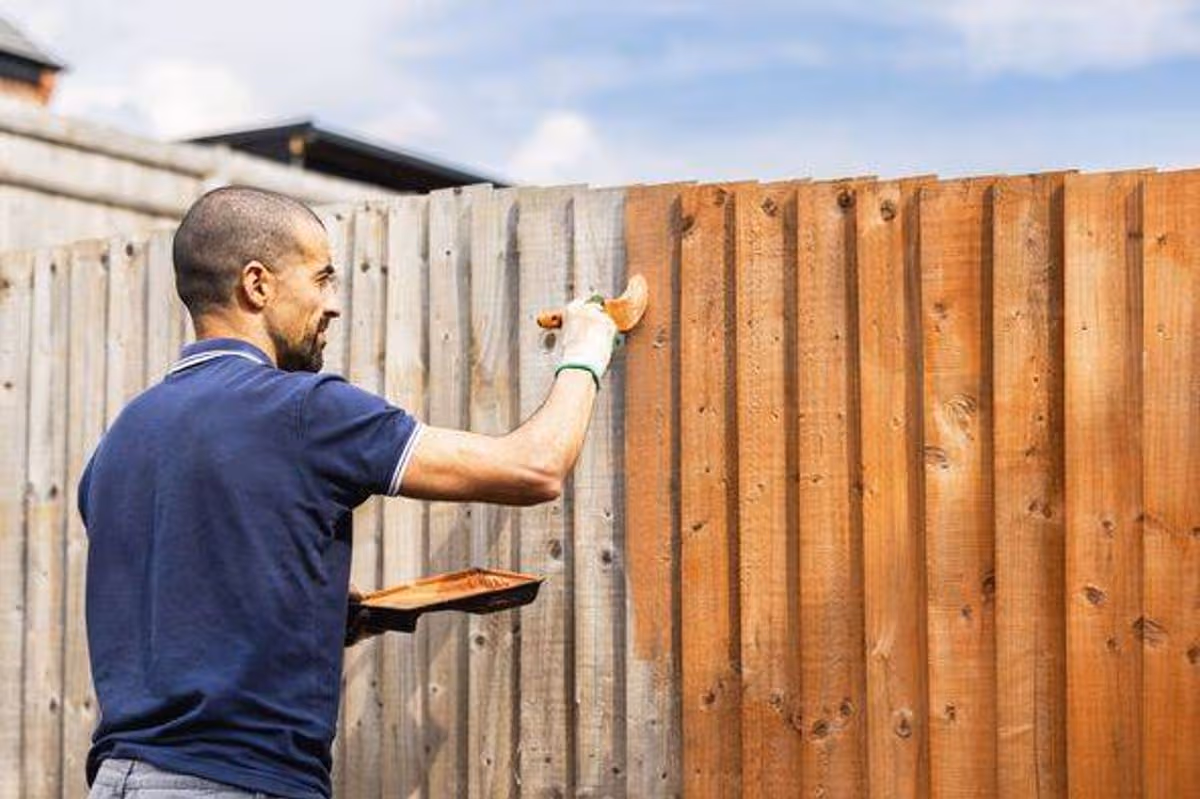 Professional fence painting service in London